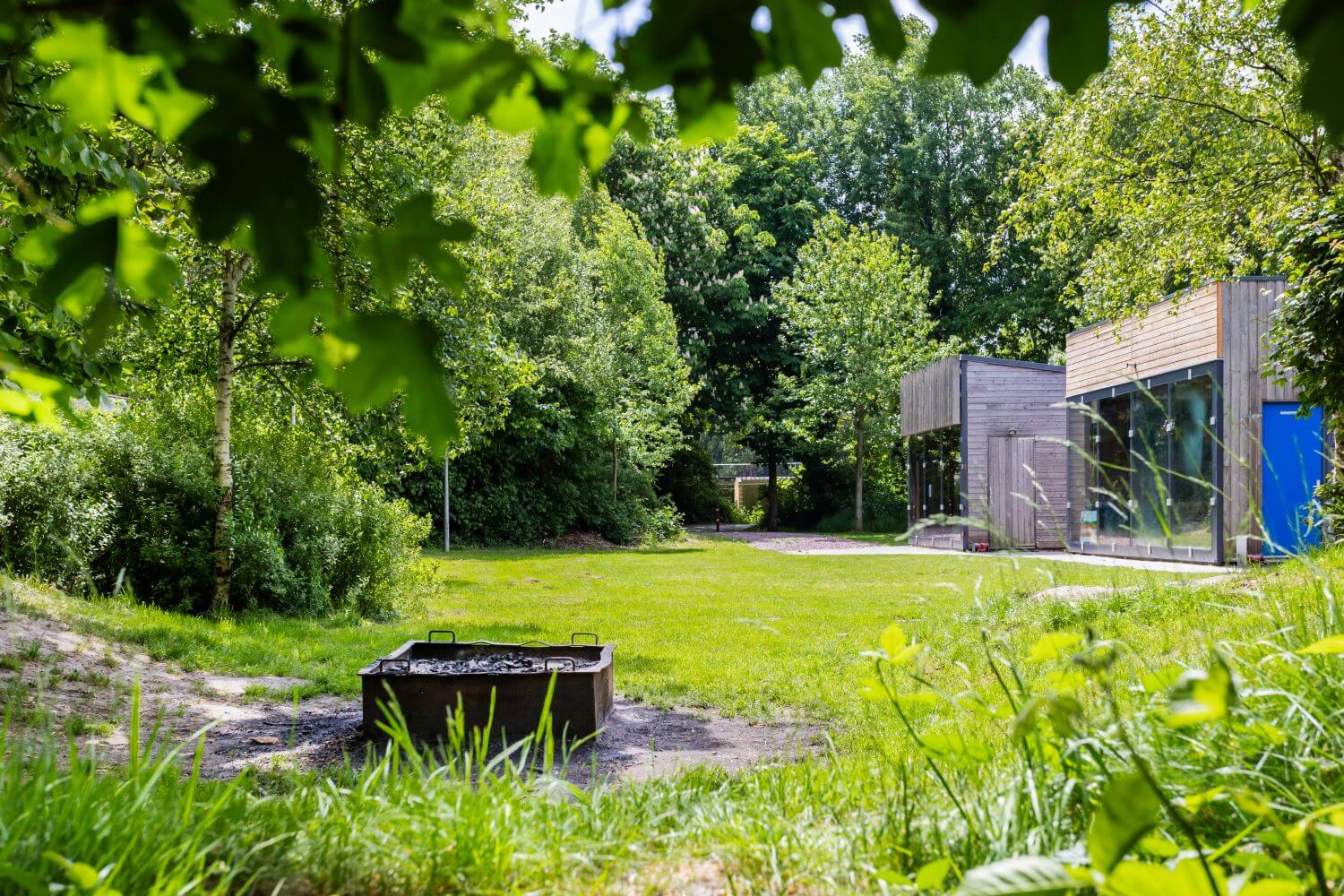 Buitengewoon paterswolde tuin (1)