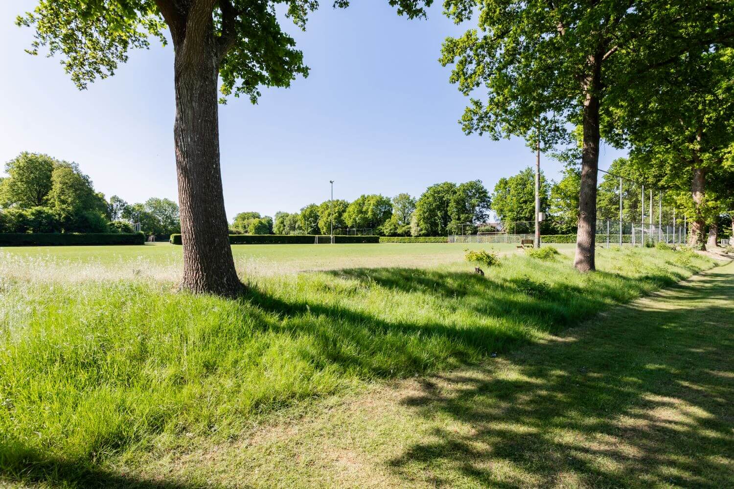 Ekiseven grasveld Buitenschoolse opvang Ekiseven Annen